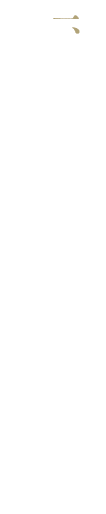 私達は常にチームワークを大切にし前向きに行動します。